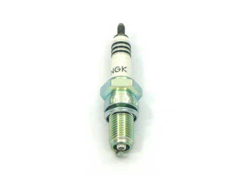 Spark Plug               NGK