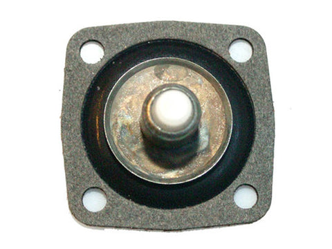 Pump Diaphragm