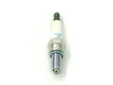 Spark Plug               NGK