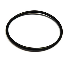 Cam Chain Support 'O' Ring 	4182709