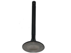 Inlet Valve