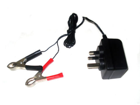 12 V Trickle Charger