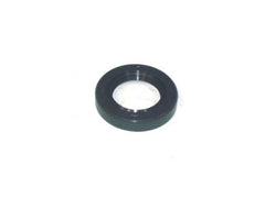 Rear Oil Seal 2000