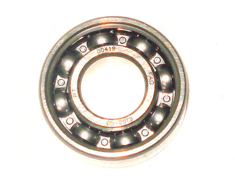 Cam Chain Bearing